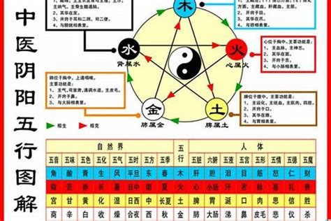 1984鼠五行|1984年属鼠是什么命 1984年属鼠命运怎么样